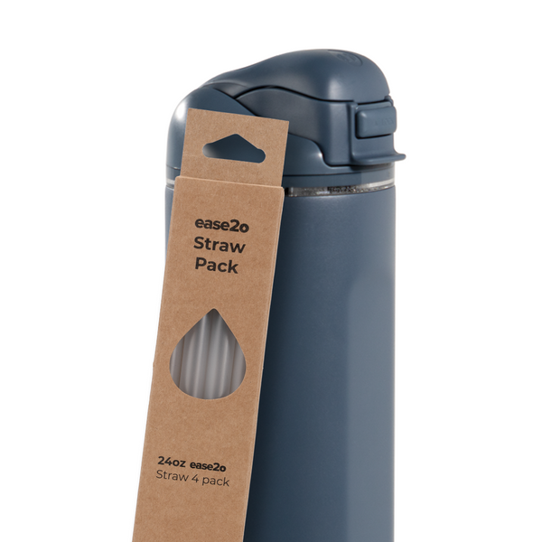 Ease2o Straws 4 Pack 24oz P4